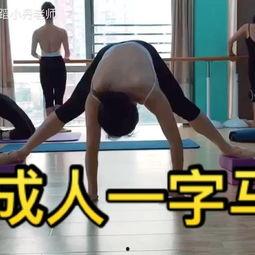 成人跳舞基本功视频,成人舞蹈基本功视频教程解析